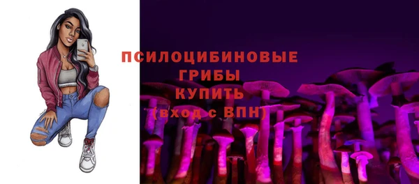 MESCALINE Аркадак