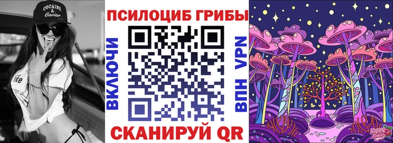 Псилоцибиновые грибы мицелий  Сельцо 